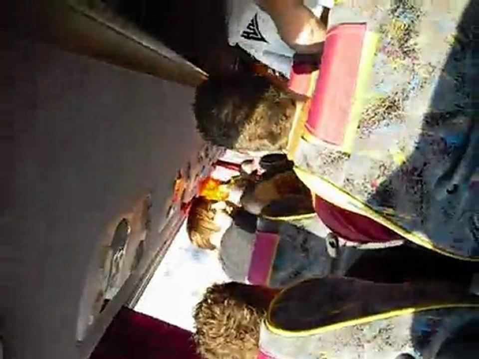 Masters of hardcore - The voice of Mayhem - 4eme partie