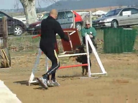 Apple 3 degré Montredon 2010