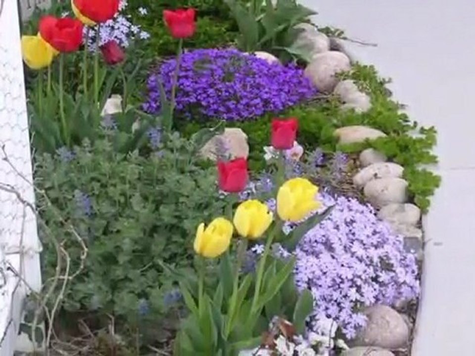 Beautiful 3 Bdrm Town home In Johnstown, Colorado