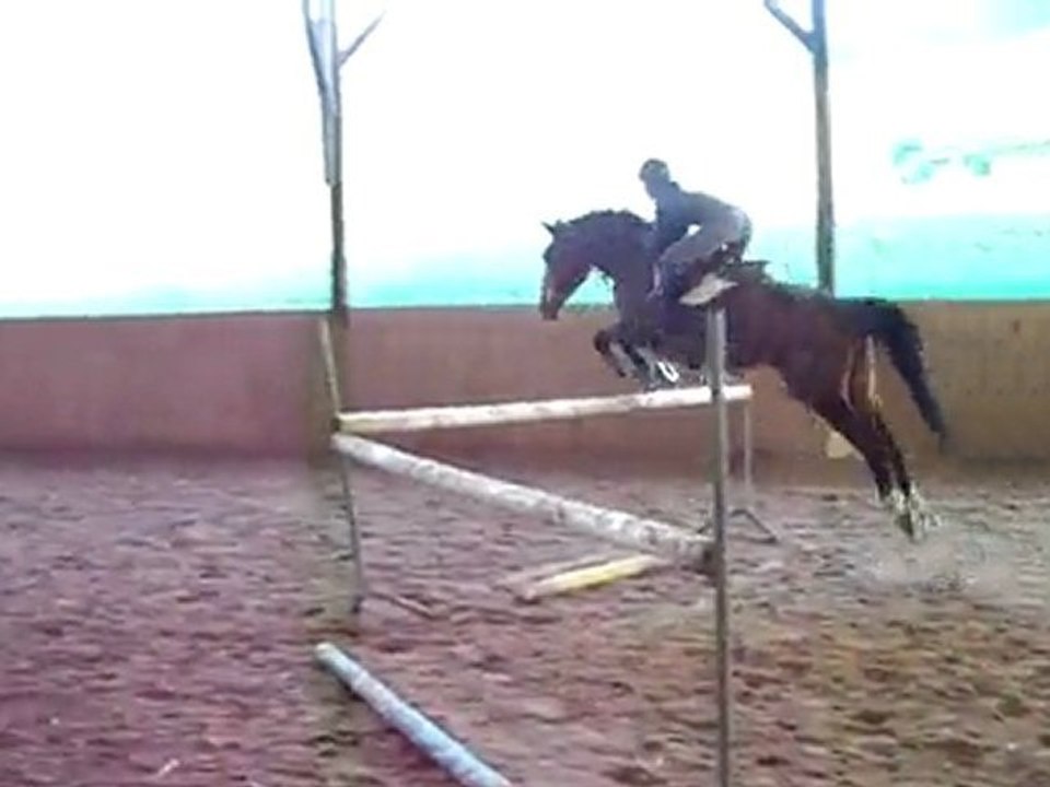nymphia