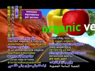 How to reduce carbon footprint