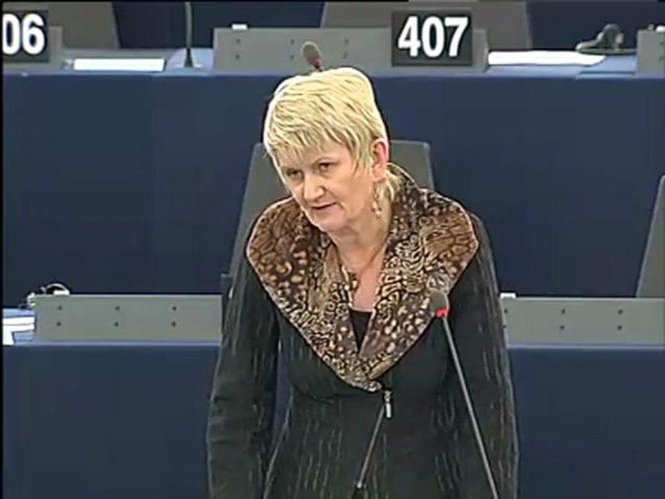 Marian Harkin on Question Time (Council)