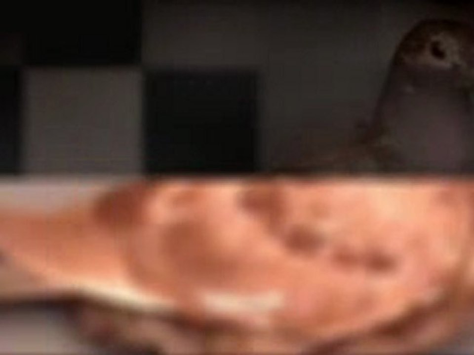 Pigeon Pals Racing Club Daily Results 232