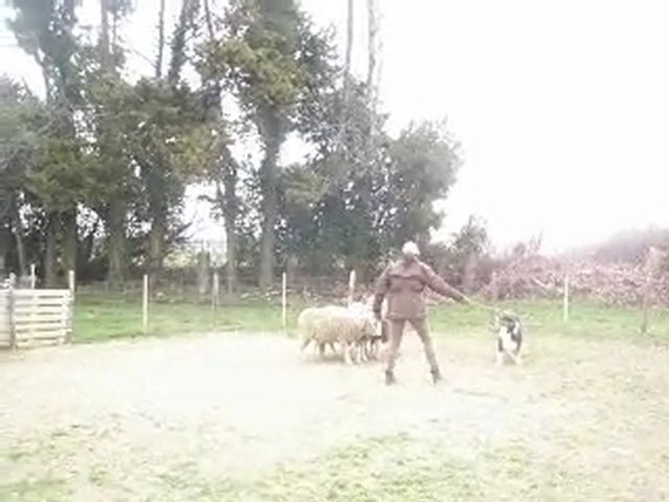 ABAUST Stage du 07/03/2010 - Marie-Anne et Végas (matin)