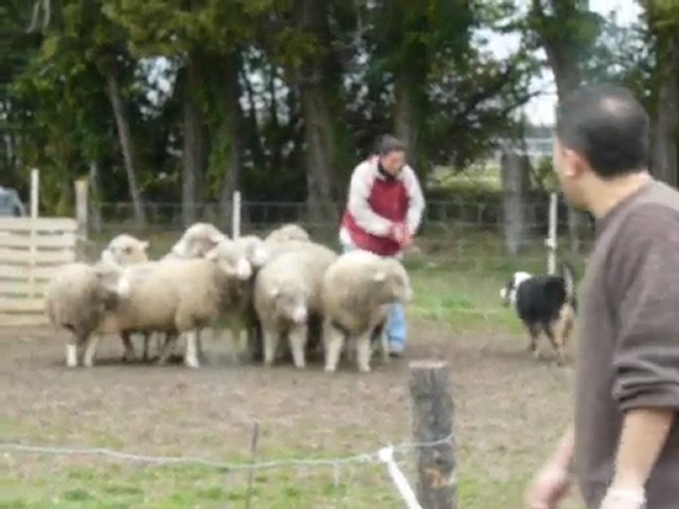 ABAUST Stage du 28/02/2010 - Sandra et Best