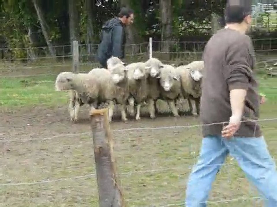 ABAUST Stage du 28/02/2010 - Xavier et Enaya