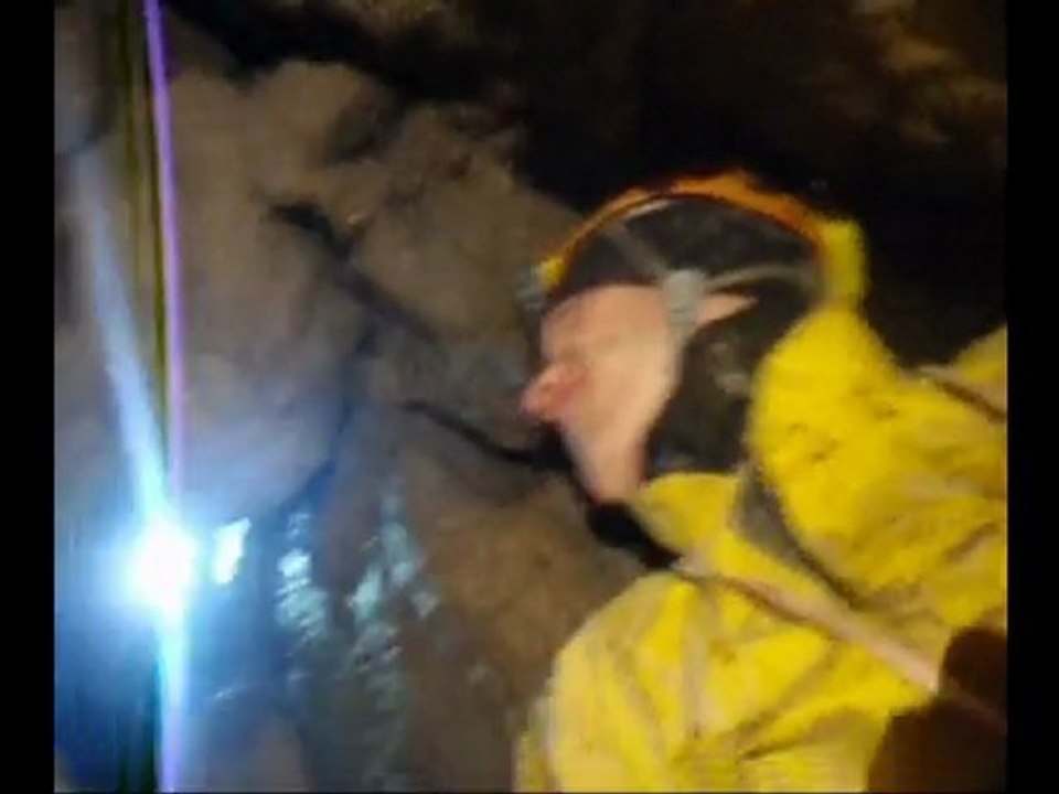 la laitière mutante