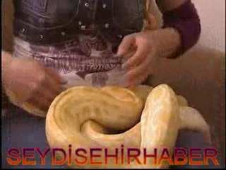 Çocukluğundan bu yana yılanlar ile yaşıyor