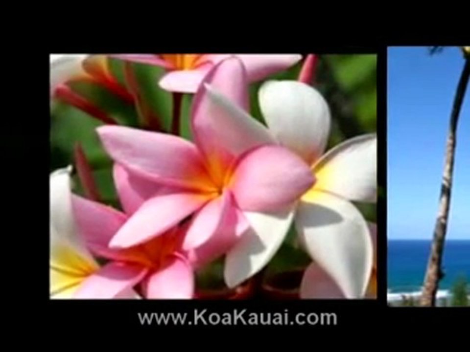 Kauai Island Real Estate for Sale