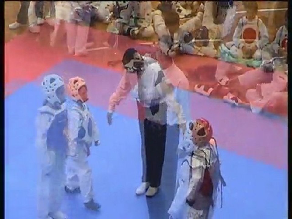 SHOGUN NICE taekwondo