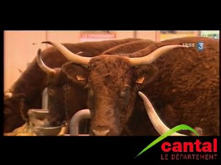 le salon de l'agriculture 2010 à Paris