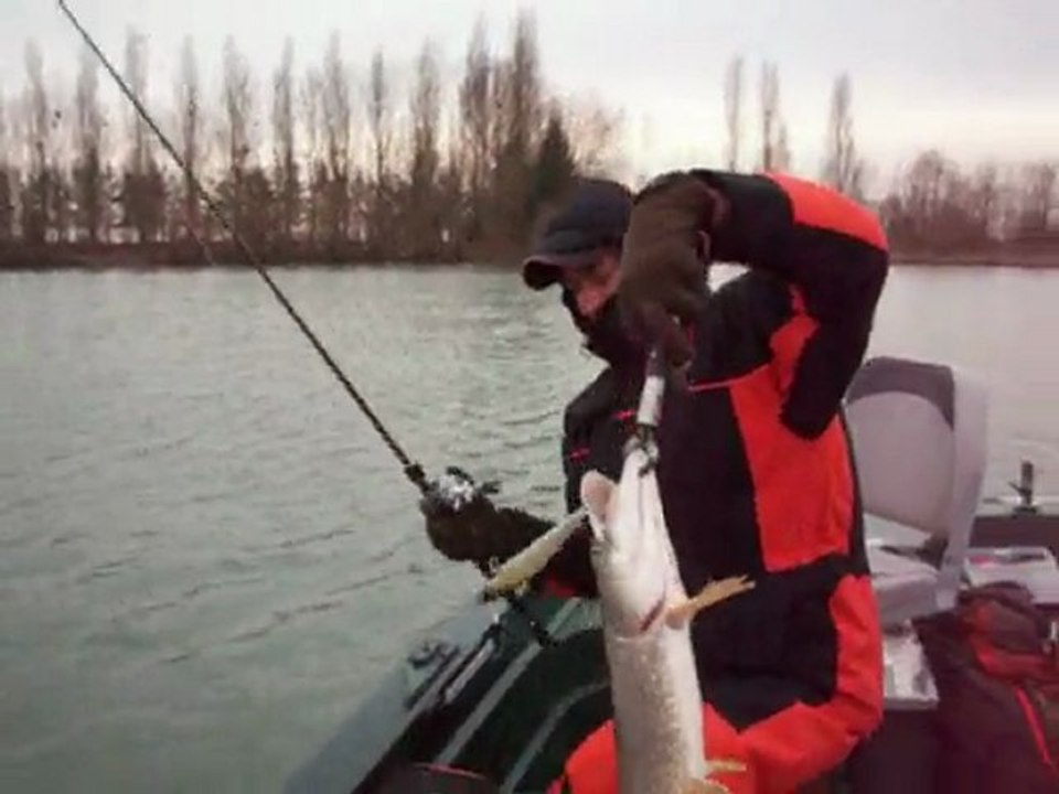 Premier brochet de l'année aux domaine de Rumilly (aube)