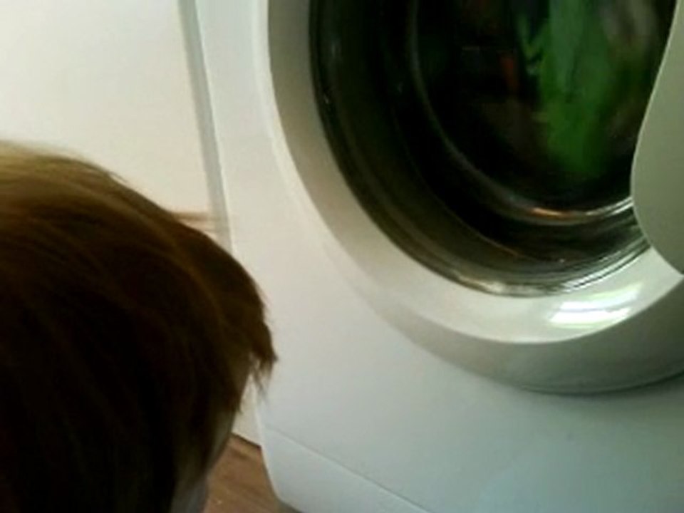 au revoir petite grenouille!