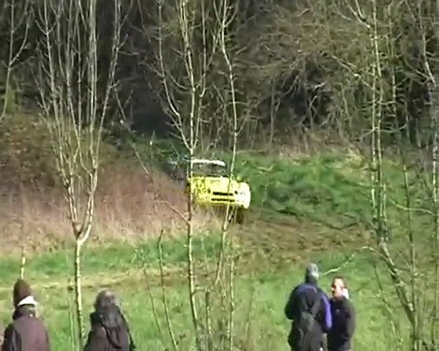 rallye arzacq 2010 avec Clevenot et moulbite