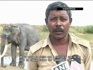 Tusker retires from service at Kaziranga National Park