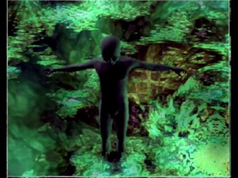 ALAIN MOISSET /MAUDITS MOTS CACHES