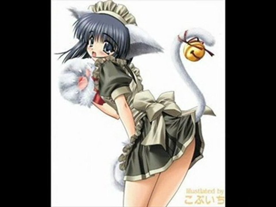 Catgirls  &  elfes