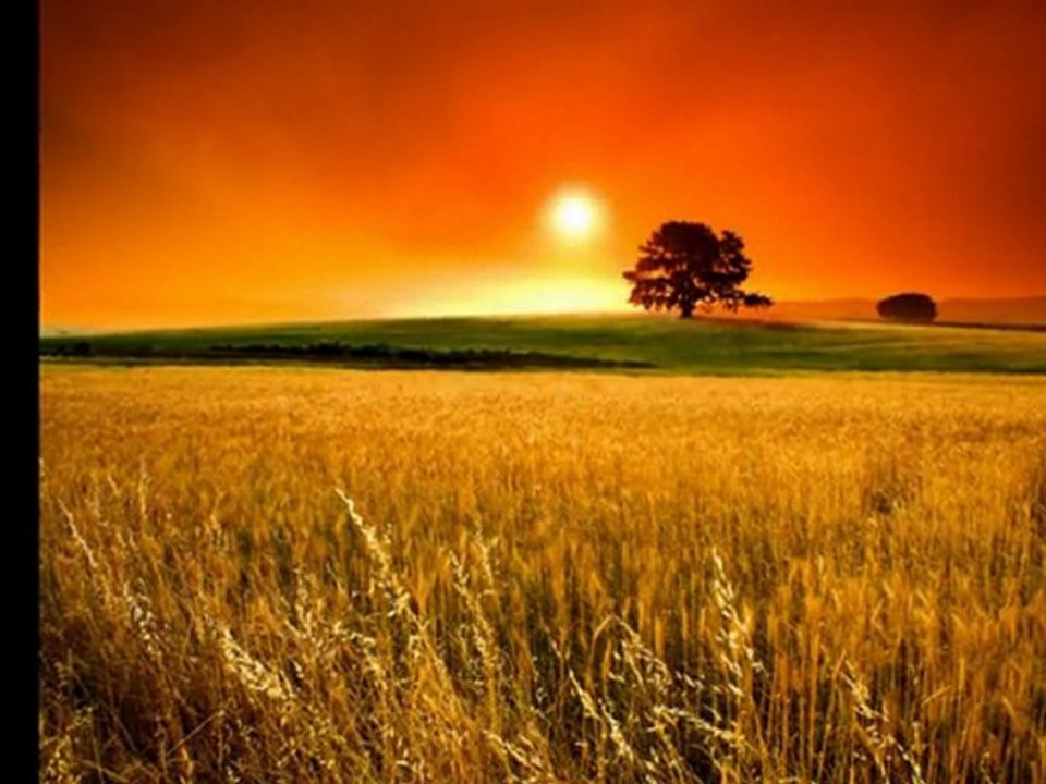 Rainbow - Temple of the King