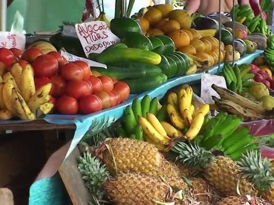 karukera - Guadeloupe, l'île papillon - script-adour.com
