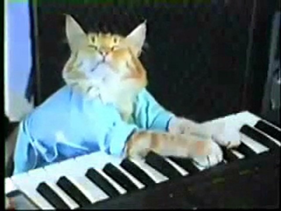 Dramatic 'Saber y Ganar'