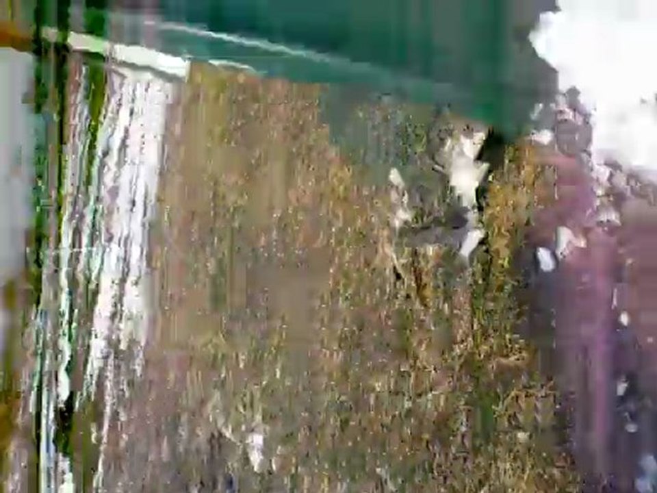 DSCN6937
