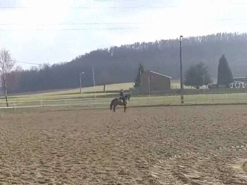 1ére sortie: balou avec sandy son prof :), propio du manège