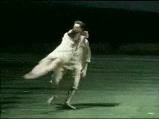 Le Parc - Angelin Preljocaj