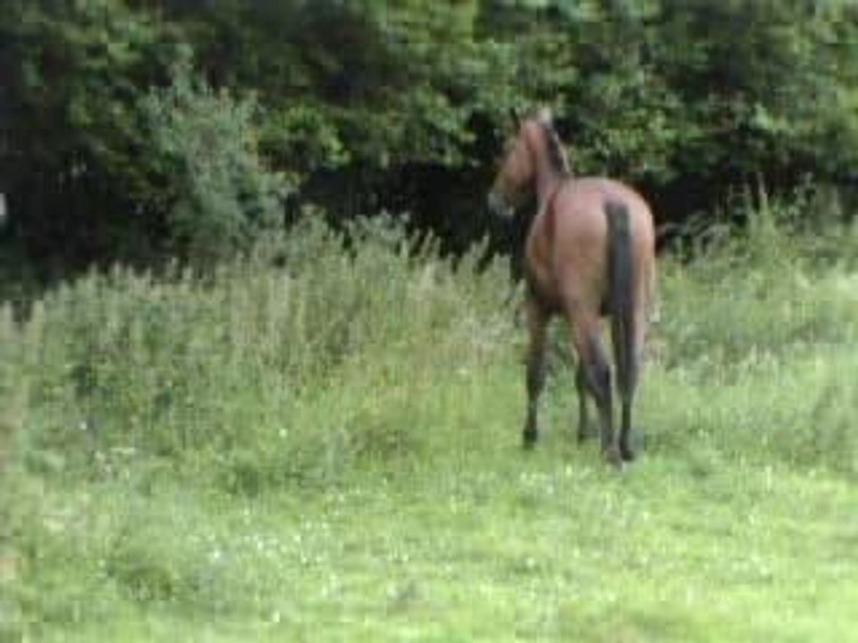 QUYLUKRU JUIN 2006