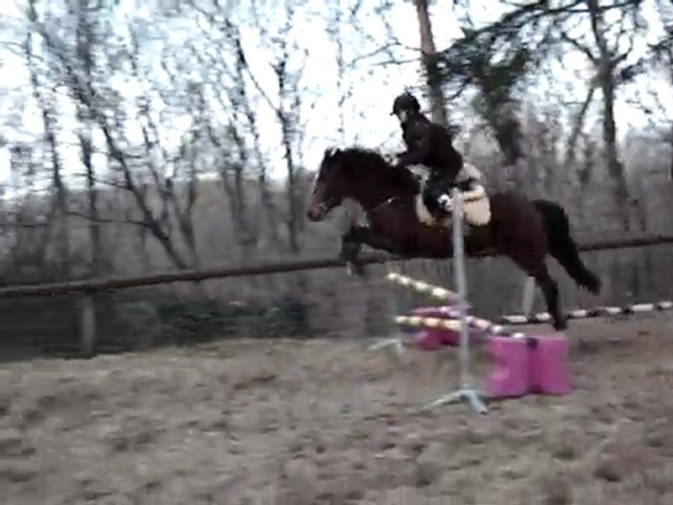 Oxer , Gwenaelle & Simbad 85 cm