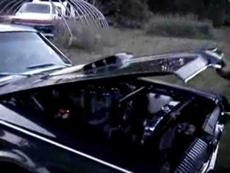 Cougar Man - Mon Adolescence...