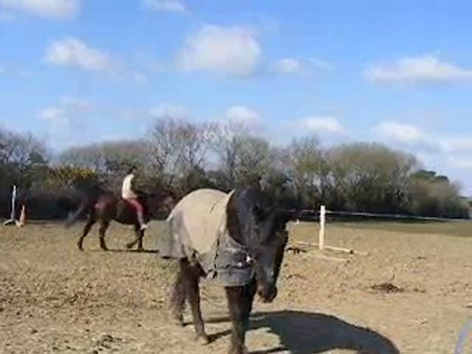 Coucher de jingel & amazone ..._0001