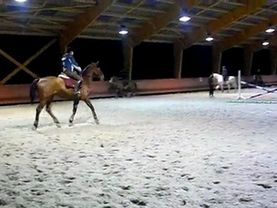 Re Julie et Nicolaï