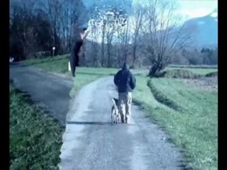 Entrainement RCI Calamite