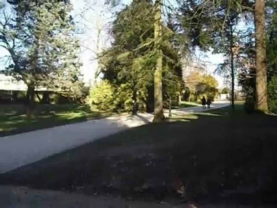 Le brilant. Episode 1: flash-forward