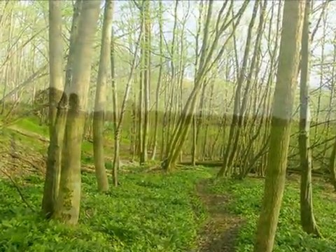 Diaporama de l'année 2009 - 6ème partie