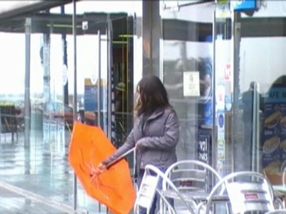 Umbrella