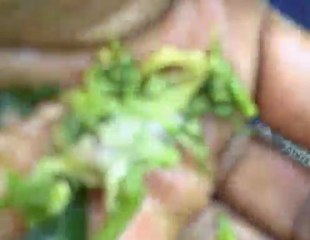 soap making 101 part 2