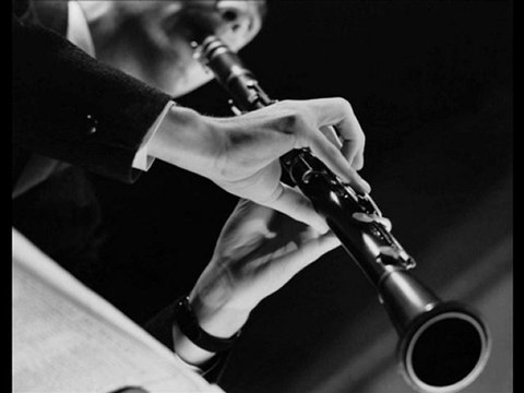 KİRPİ BÜLENT ALTINBAŞ - BİLSEM Kİ