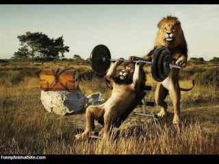 Mario calls the gym before his jersey shore audition