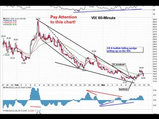 Market Update: March 11 📈