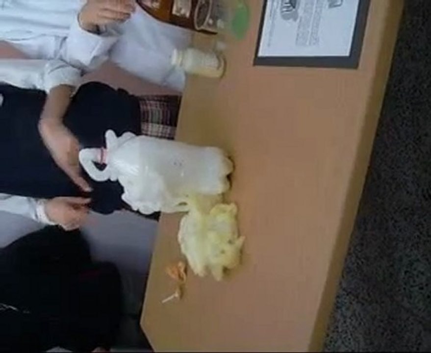 Avanos Anadolu Lisesi-Bilim Şenliği 2010