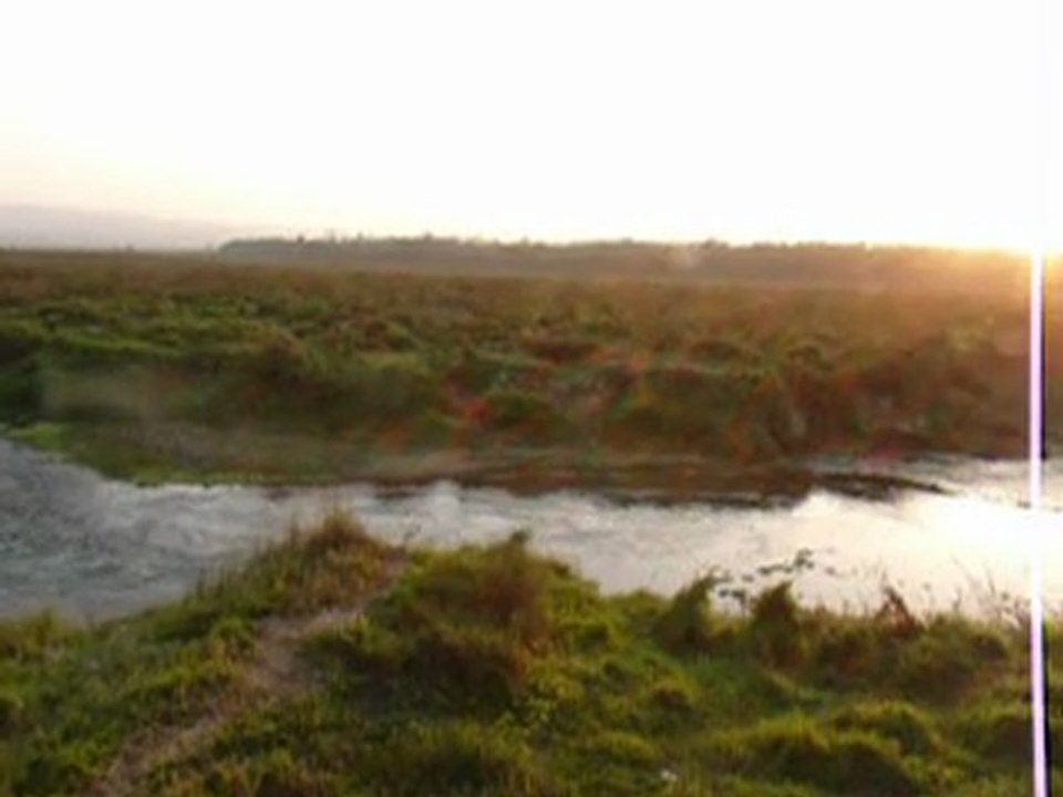 Panoramique de la  rivière dans le Parc de Chitwan