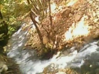 yaylapazarı köyü (zeyve) /ermenek