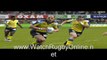 watch rugby 6 nations Wales vs Ireland February 13th online