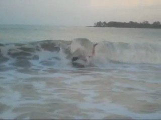 Guadeloupe Xtrem Session bodyboard