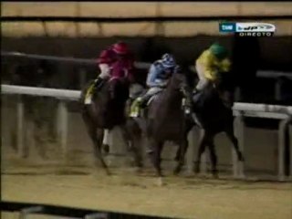 2007.07.12, nº 240 LZ (Expansion, C) Dink