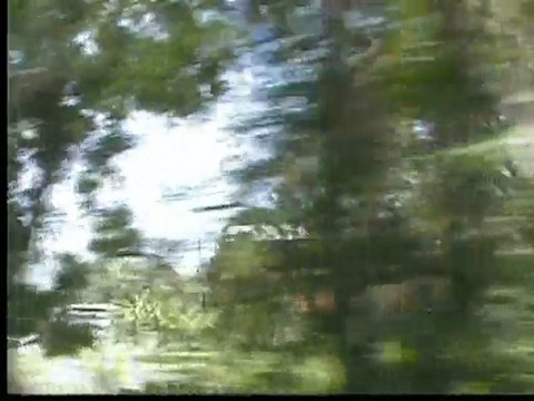 Sosua, Dominican Republic Street Scenes & Beach