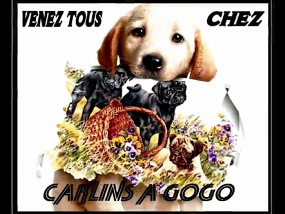 balade du 11 mars 2010