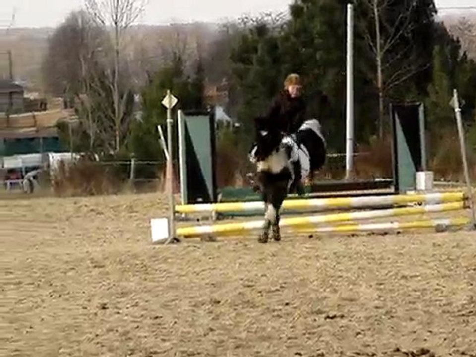 maéva & bizon CSO