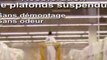 Rénovation et Coloration de Plafonds Suspendus - Basic System